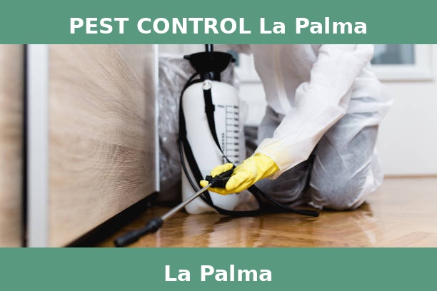 PEST CONTROL La Palma